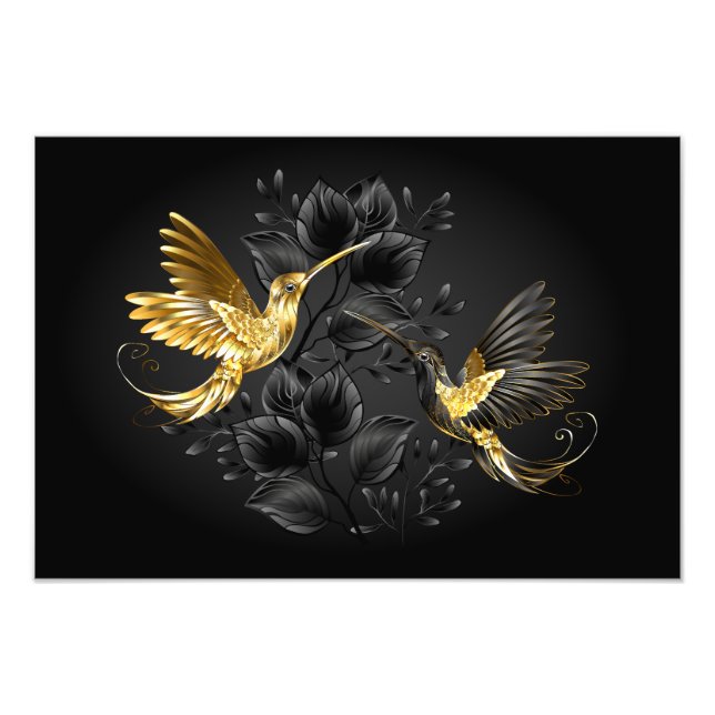 Black och Guld Hummingbird Fototryck (Framsidan)