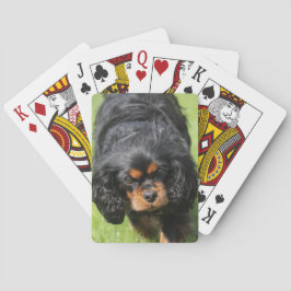 Black och Tan Cavalier Kung Charles Spain Hund Casinokort