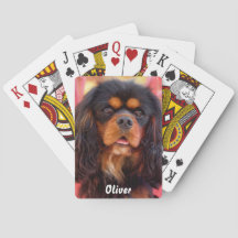 Black och Tan Cavalier Kung Charles Spain Hund