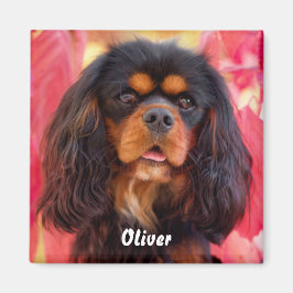 Black och Tan Cavalier Kung Charles Spain Hund Magnet