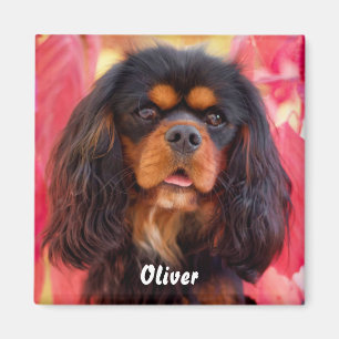 Black och Tan Cavalier Kung Charles Spain Hund Magnet