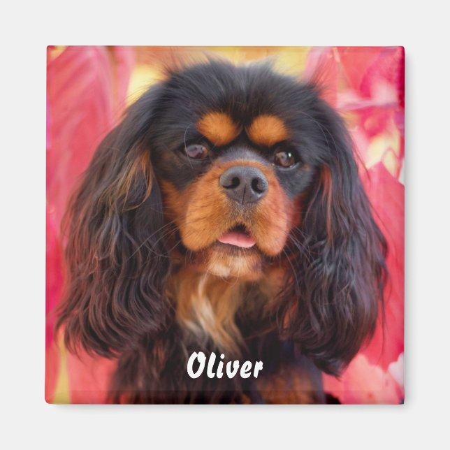 Black och Tan Cavalier Kung Charles Spain Hund Magnet (Framsidan)