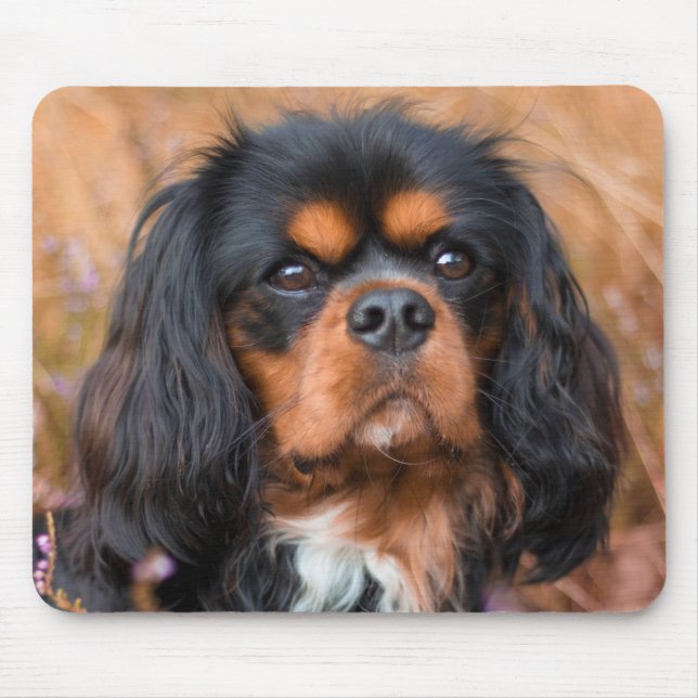 Black och Tan Cavalier Kung Charles Spain Hund Musmatta (Framsidan)