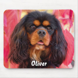 Black och Tan Cavalier Kung Charles Spain Hund Musmatta