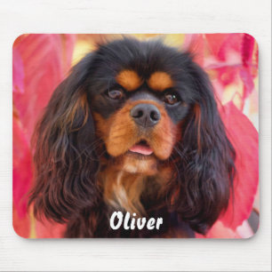 Black och Tan Cavalier Kung Charles Spain Hund Musmatta