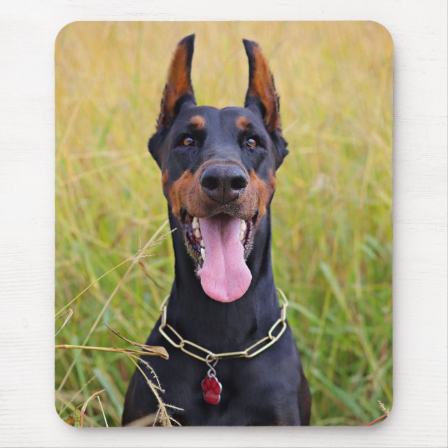 Black och Tan Doberman Pinscher Musmatta (Framsidan)