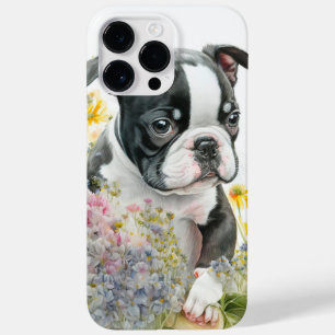BLACK OCH VITE BOSTON TERRIER