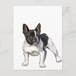 BLACK OCH WHITE FRANSK BULLDOG VYKORT