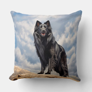 Black Old German shepherd hund Kudde