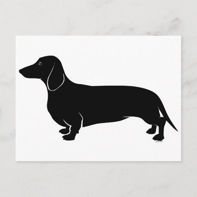 Black on White Dachsund Vykort (Framsida)