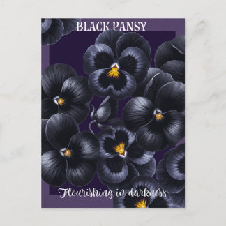 Black Pansy Mörk Flowers-bekräftelse Vykort