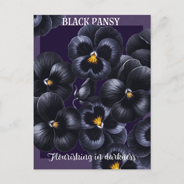 Black Pansy Mörk Flowers-bekräftelse Vykort (Framsida)