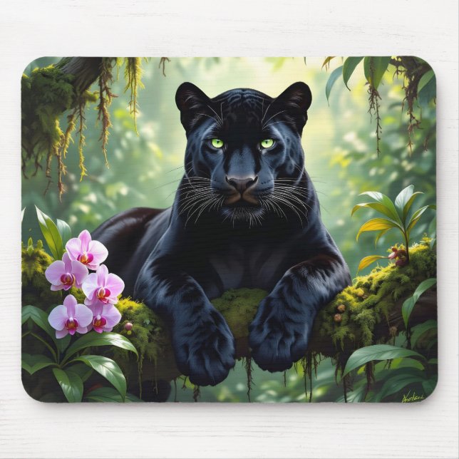 Black Panther i Jungle Musmatta (Framsidan)