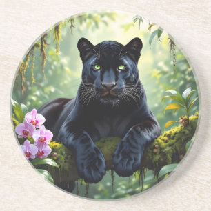 Black Panther i Jungle Underlägg