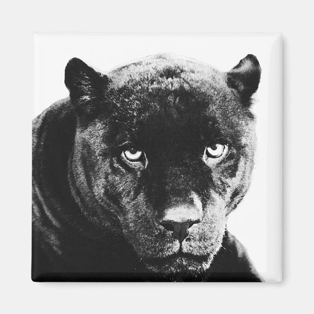 Black Panther Jaguar Magnet (Framsidan)