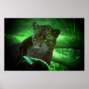 Black Panther Jaguar Poster
