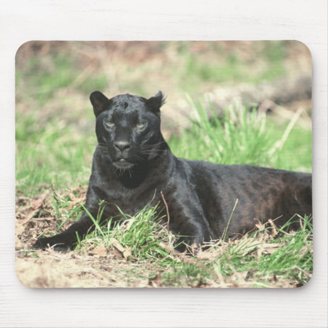 Black Panther Mousepad Musmatta (Framsidan)