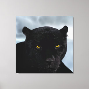 Black Panther Panthera Canvastryck