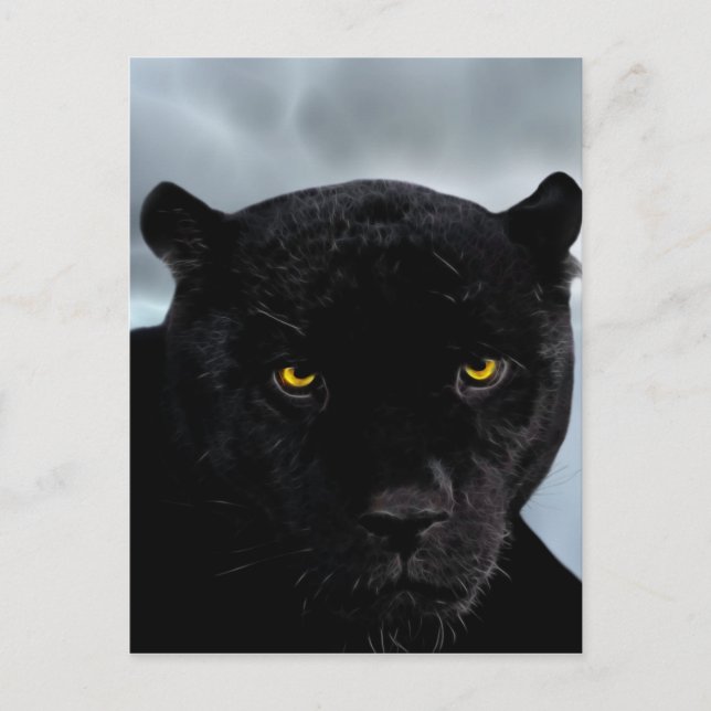 Black Panther Panthera Vykort (Framsida)