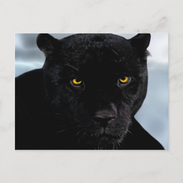 Black Panther Panthera Vykort (Framsida)