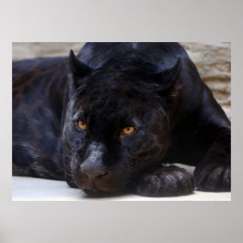 Black Panther Poster