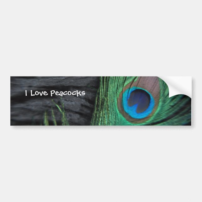 Black Peacock Feather Bumper Sticker Bildekal (Framsidan)