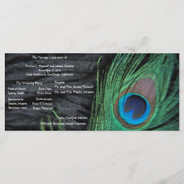 Black Peacock Velvet Background Bröllopsprogram Program
