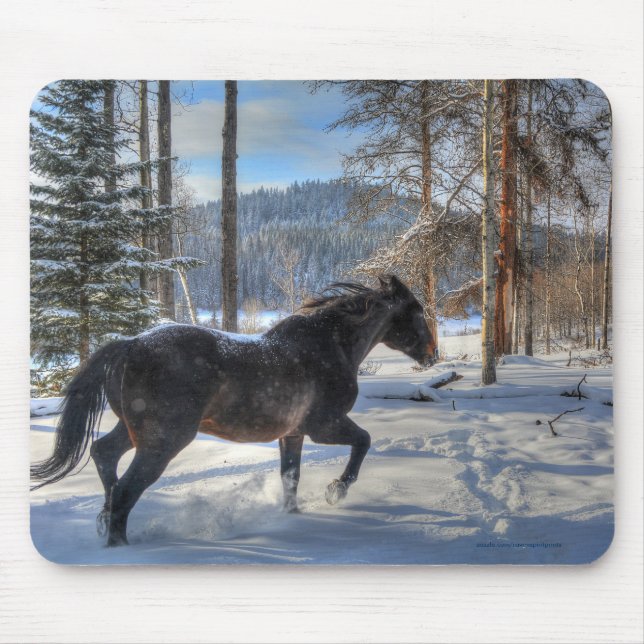 Black Percheron i Forest och First Winter Snö Musmatta (Framsidan)