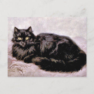 Black Persian Cat Vykort