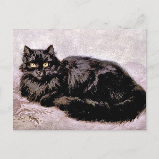 Black Persian Cat Vykort (Framsida)