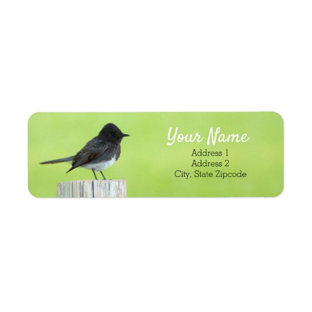 Black Phoebe Bird Address Label Returadress Etikett (Framsidan)