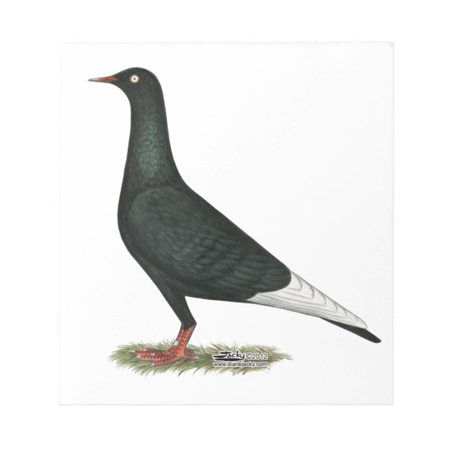 Black Pigeon på flygplanet Anteckningsblock (Framsida)