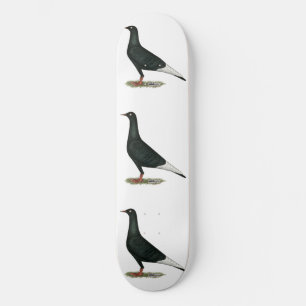 Black Pigeon på flygplanet Old School Skateboard Bräda 18 Cm