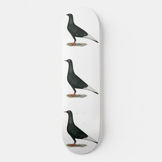 Black Pigeon på flygplanet Old School Skateboard Bräda 18 Cm (Framsida)
