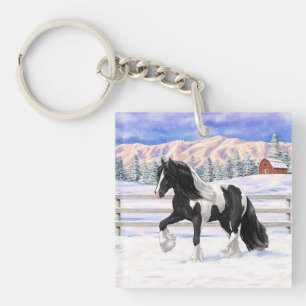 Black Pinto Piebald Gypsy Vanner Draft Horse
