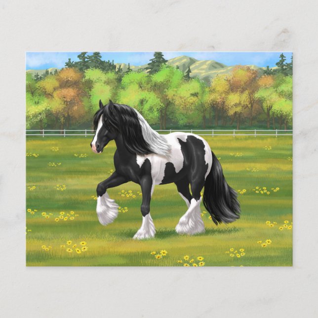 Black Pinto Piebald Gypsy Vanner Draft Horse (Framsida)