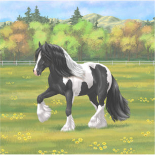 Black Pinto Piebald Gypsy Vanner Draft Horse Klistermärken