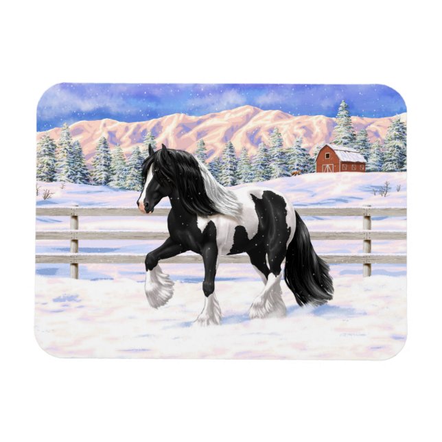 Black Pinto Piebald Gypsy Vanner Draft Horse Magnet (Horisontell)