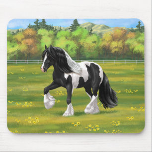 Black Pinto Piebald Gypsy Vanner Draft Horse Musmatta