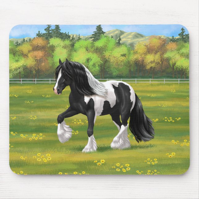 Black Pinto Piebald Gypsy Vanner Draft Horse Musmatta (Framsidan)