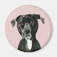 Black Pit Bull Dog Porträtt