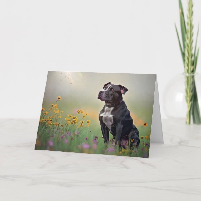 Black Pitbull Birthday Card Tack Kort (Framsida)