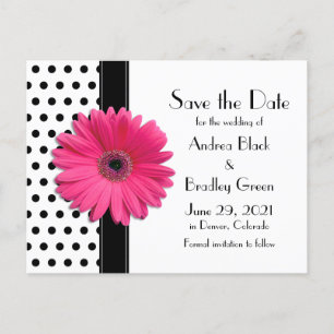 Black Polka dots Rosa Daisy Bröllop spara datum Meddelande Vykort