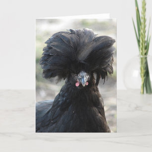 Black polska Hen Kort