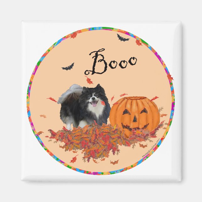 Black Pommern Halloween Magnet (Framsidan)