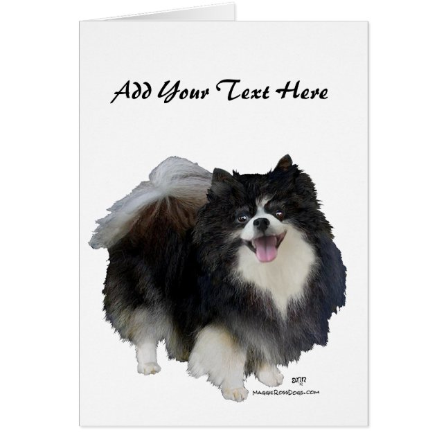 Black Pommern Hälsningskort (Framsidan)