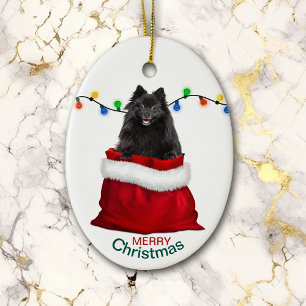 Black Pommern-Hund i Gift Bag-julen Julgransprydnad Keramik