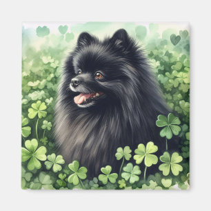 Black Pommern St patricks day Magnet