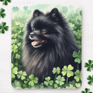 Black Pommern St patricks day Musmatta