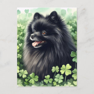 Black Pommern St patricks day Porträtt Vykort
